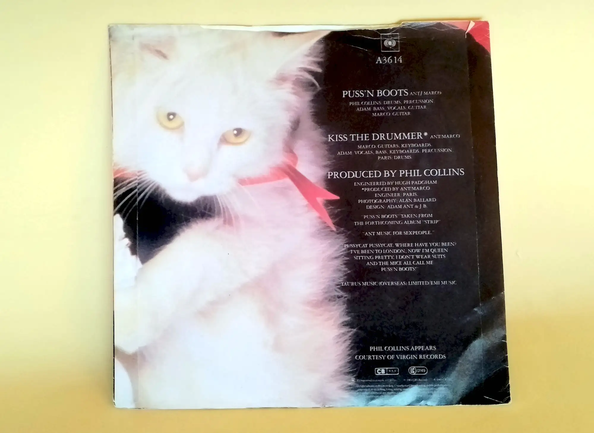 Adam Ant – Puss’n boots single vinilo punk new wave - Imagen 3