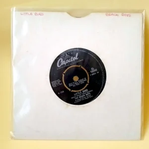 The Beach Boys | Little Bird Single Vinilo