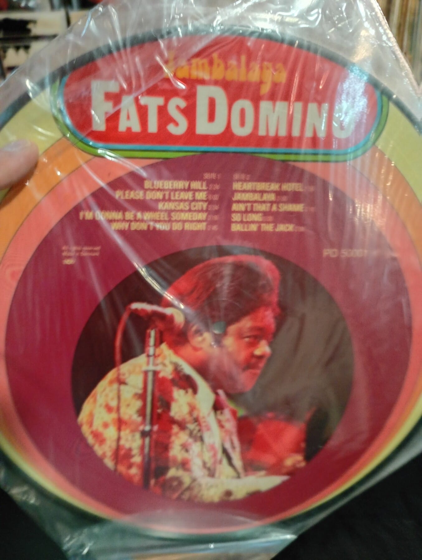 Fats Domino – Jambalaga – Picture Disc Coleccionista – LP Ocasión - Imagen 2