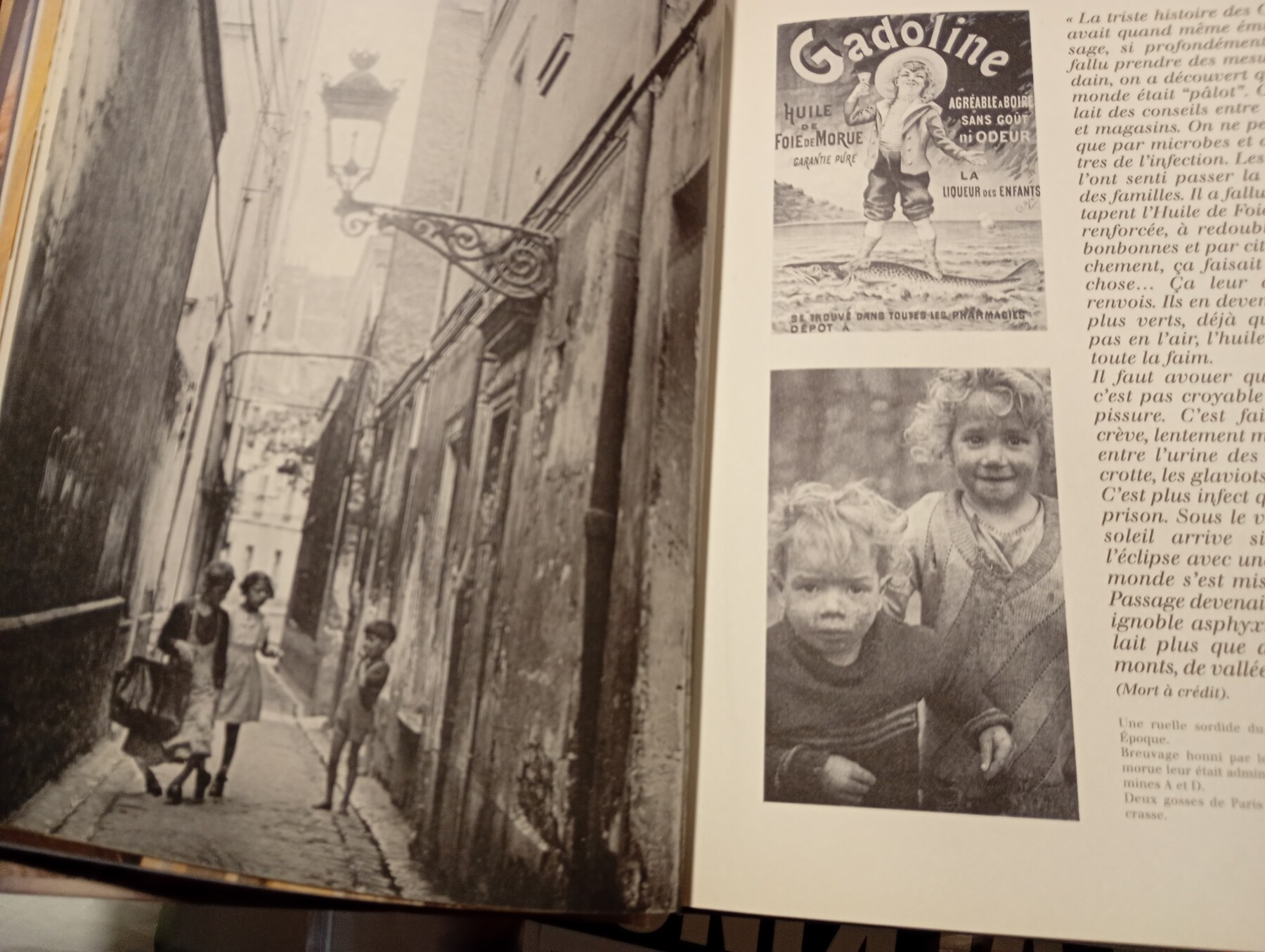 Le Paris de Céline, de Patrick Buisson – Libro en francés – USADO – - Imagen 3